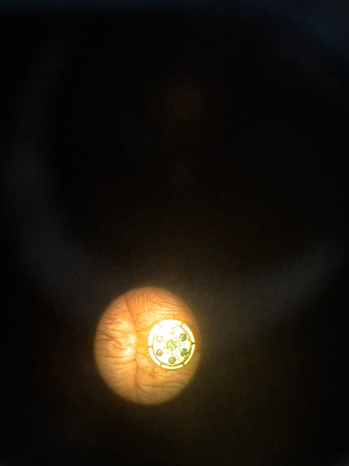 Microscópio Leica M220